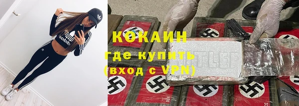 амф Ладушкин